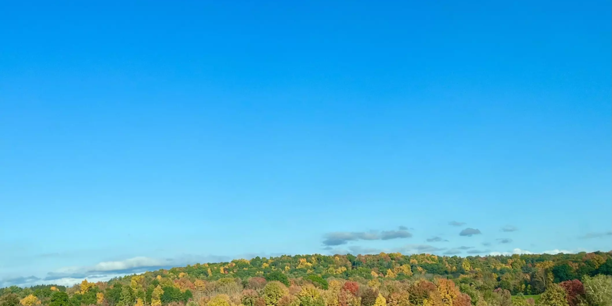 A Renewed Appreciation for Fall's Light in the Autumn of My Life