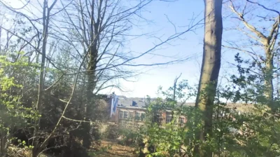 A tree falls on Annendael campus in Diest, Cluckers responds