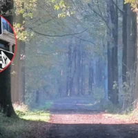 Aalter approves 110-space Pilkem parking in Drongengoedbos