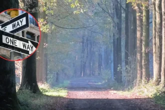 Aalter approves 110-space Pilkem parking in Drongengoedbos