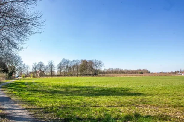 Affligem plans solar park as Mayor De Donder reviews impact