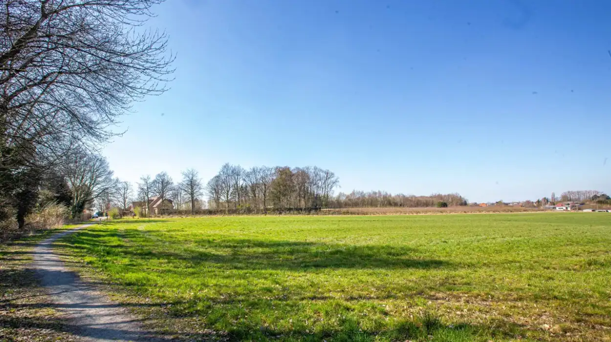 Affligem plans solar park as Mayor De Donder reviews impact