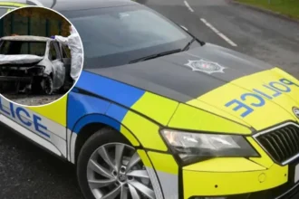 Algerian man arrested after ramming police car in Schaerbeek