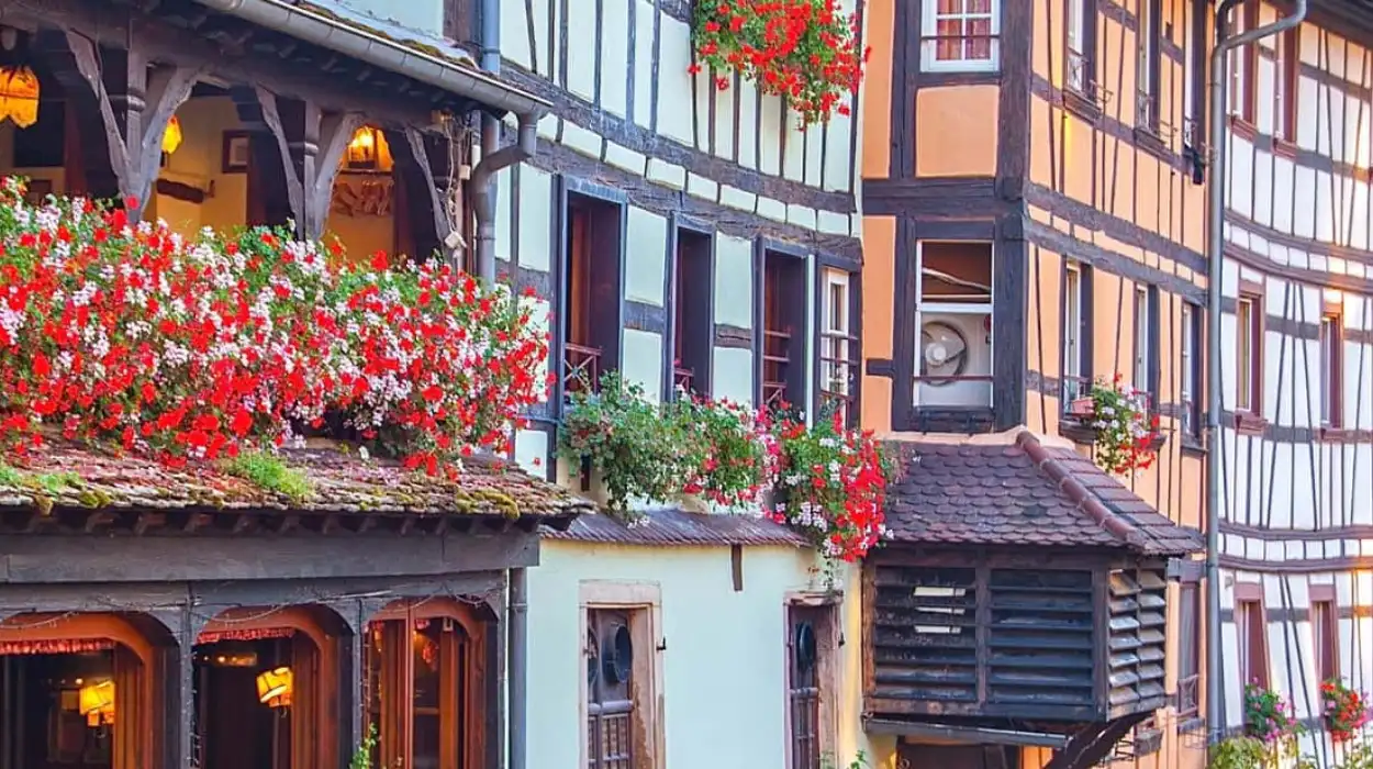 Alsace cuisine in Brussels
