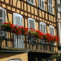 Alsace cuisine set to go down a treat in Brussels