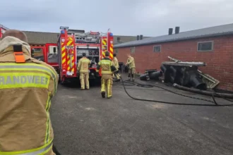 Alveringem 250 pigs die in Leisele barn fire