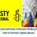 Amnesty-International-criticizes-Walloon-weapons-role-in-human-rights-abuse
