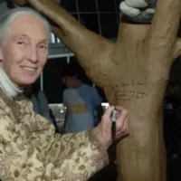 'An inspiration to generations of women' Charities share memories of Goodall