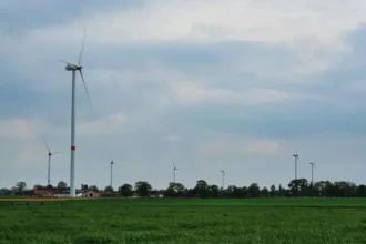 Anti-windmill groups unite in Mechelen to fight turbines