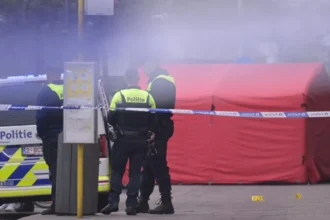 Antwerp Central Station 47-year-old arrested for stabbing