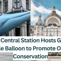 Antwerp-Central-Station-Hosts-Giant-Blue-Whale-Balloon