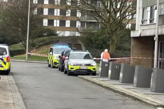 Antwerp Left Bank woman stabbed found on Halewijnlaan