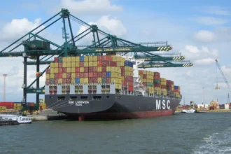 Antwerp Port 131 drug & haulers 31 minors arrested