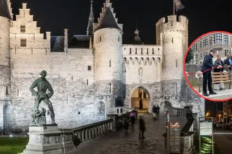 Antwerp installs swift-watching benches at Het Steen