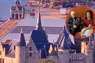 Antwerp launches pet pass to ensure animal care in emergencies