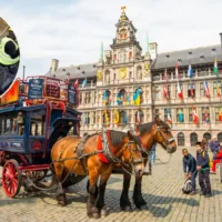 Antwerp uncovers 14th-century wooden road at Paardenmarkt