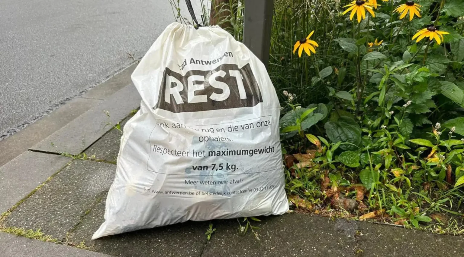 Antwerp's battle against fake garbage bags A fight for clean streets
