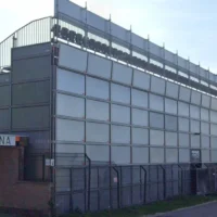 Asian hornets disrupt RSCA Beerschot match in Deinze