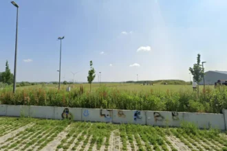 Asse event meadow faces new rules after €20K damage