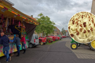 Avian flu hits Houtem farm in Veurne, thousands of chickens culled