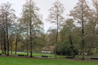 BRAL opposes Axa-Effeige’s 509-home plan in Schaerbeek