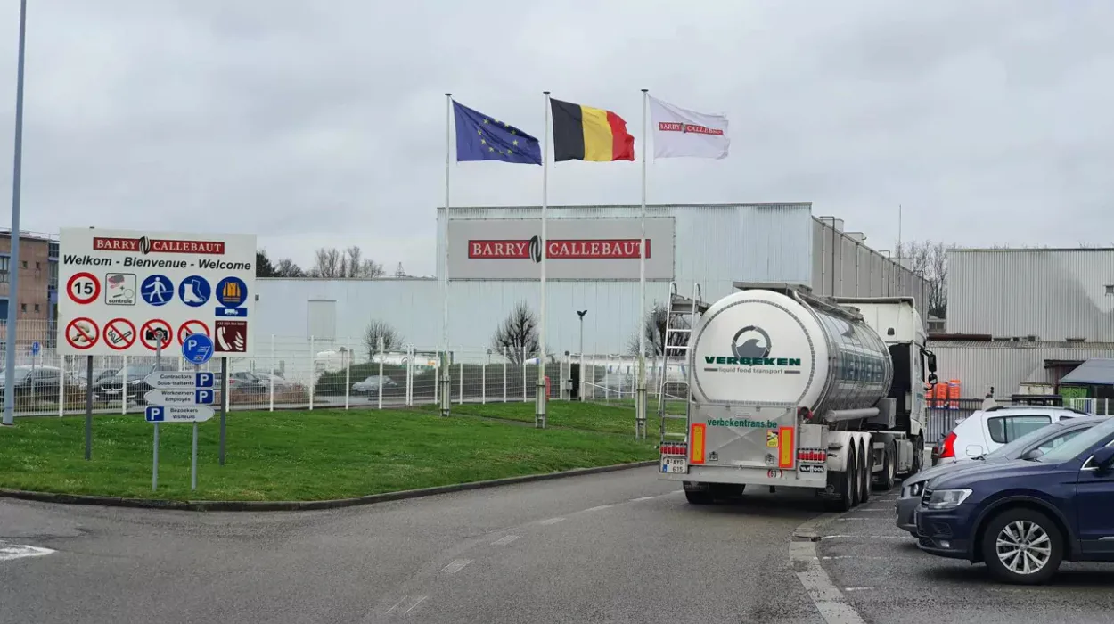 Barry Callebaut doubles chocolate production in Halle 338K tons