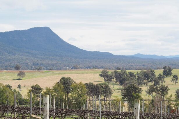 Police investigation into Bondi shooters training in New South Wales
