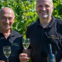 Begijnendijk, Hageland wine hit 64% drop in 2024