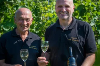 Begijnendijk, Hageland wine hit 64% drop in 2024