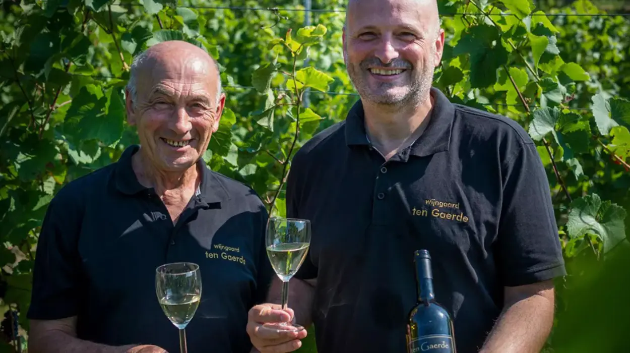 Begijnendijk, Hageland wine hit 64% drop in 2024