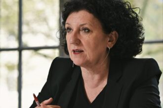 Auditors say "control mechanisms are not sufficient"