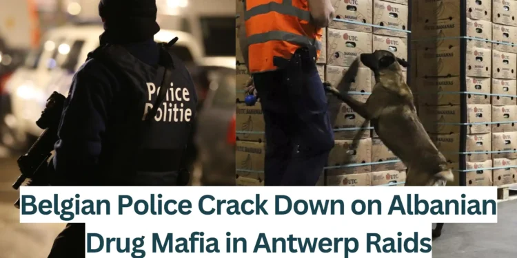 Belgian-Police-Crack-Down-on-Albanian-Drug-Mafia-in-Antwerp-Raids