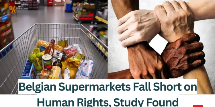 Belgian-Supermarkets-Fall-Short-on-Human-Rights