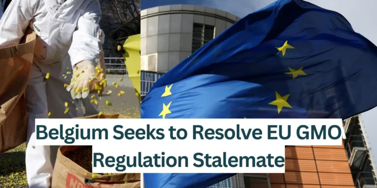 Belgium-Seeks-to-Resolve-Regulation-Stalemate