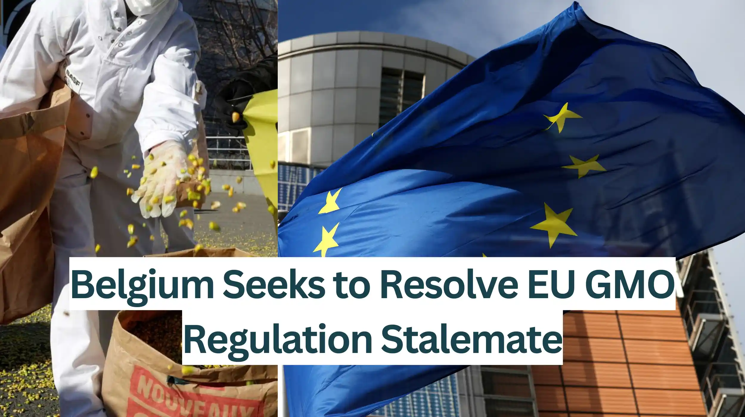 Belgium-Seeks-to-Resolve-Regulation-Stalemate