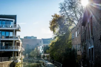 Belgium Sunday Sunny 7-14°C with cool easterly wind