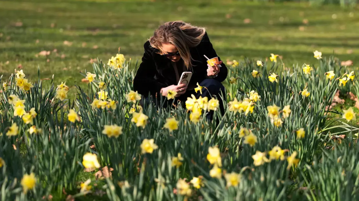 Belgium Warm weekend (20°C) before cold shift next week