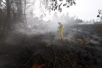 Belgium Wildfire Preparedness Facing Scrutiny Following Devastating High Fens Peatland Disaster