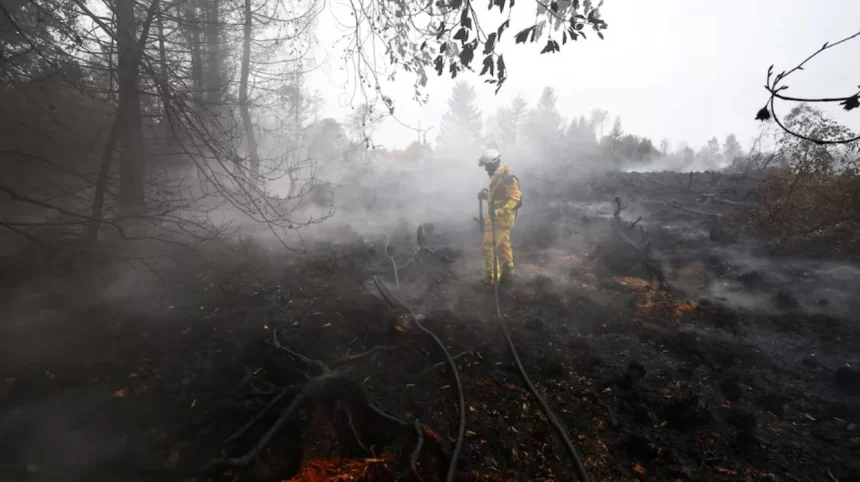 Belgium Wildfire Preparedness Facing Scrutiny Following Devastating High Fens Peatland Disaster
