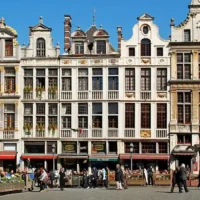 Belgium confirms first 2025 BTV8 cases, FASFC cites Bonte