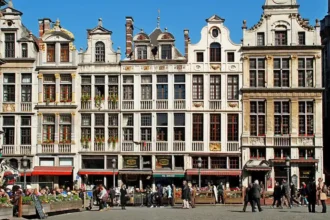 Belgium confirms first 2025 BTV8 cases, FASFC cites Bonte