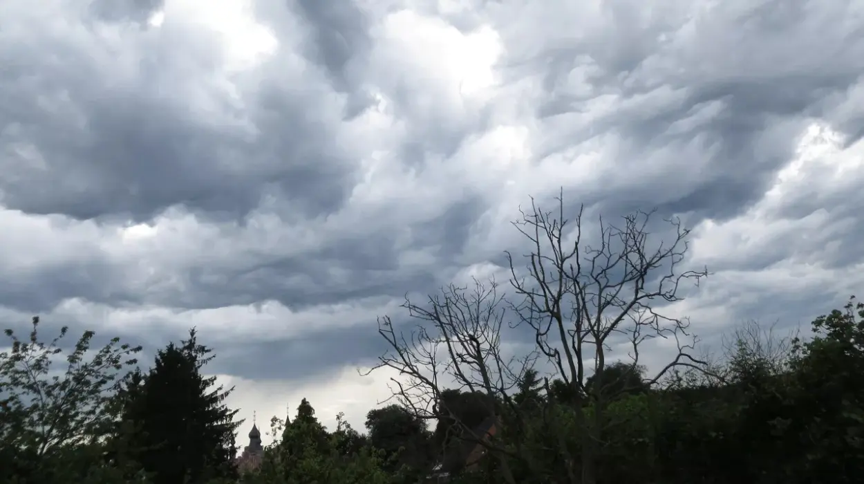 Belgium faces Windy, Rainy weather and Snow in early 2025