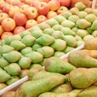 Belgium faces low apple and pear harvests amid weather challenges