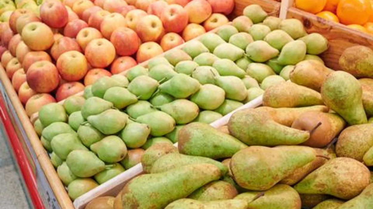 Belgium faces low apple and pear harvests amid weather challenges