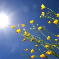 Belgium warms to 23°C, Bram Verbruggen warns of cooldown