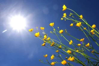 Belgium warms to 23°C, Bram Verbruggen warns of cooldown