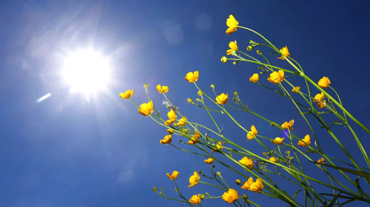 Belgium warms to 23°C, Bram Verbruggen warns of cooldown