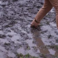 Belgium weather update heavy rain frost storm Herminia