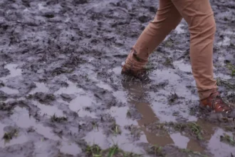 Belgium weather update heavy rain frost storm Herminia