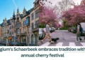 Belgiums-Schaerbeek-embraces-tradition-with-its-annual-cherry-festival